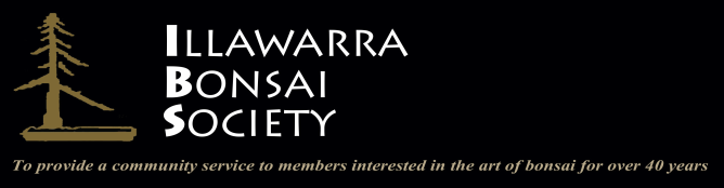 Illawarra Bonsai Society